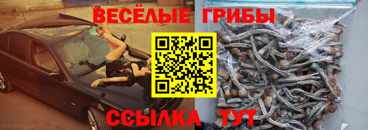 Галлюциногенные грибы мухоморы  Галлюциногенные грибы GOLDEN TEACHER  Вход с VPN  Кинель 